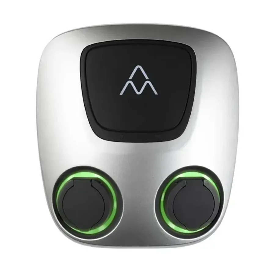 En nyfiken person tar hjälp av sin app och känner att en egen måste få följa med hem.